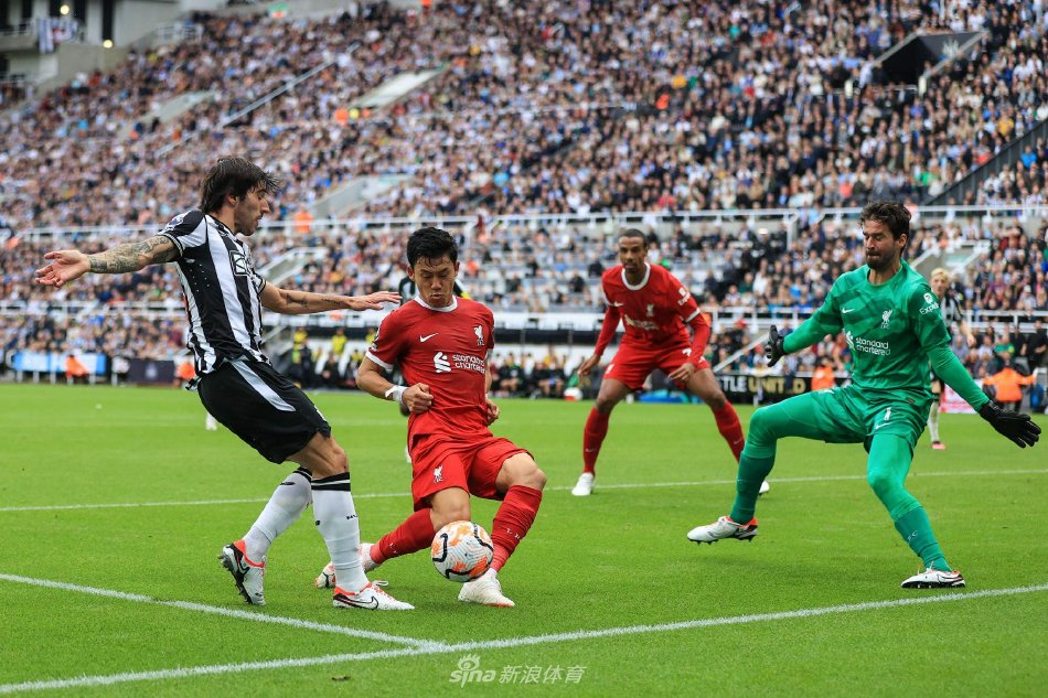 填补的决心 填补的决心